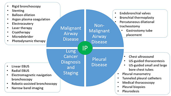 Interventional Pulmonology Clinical Training | University Of Maryland ...